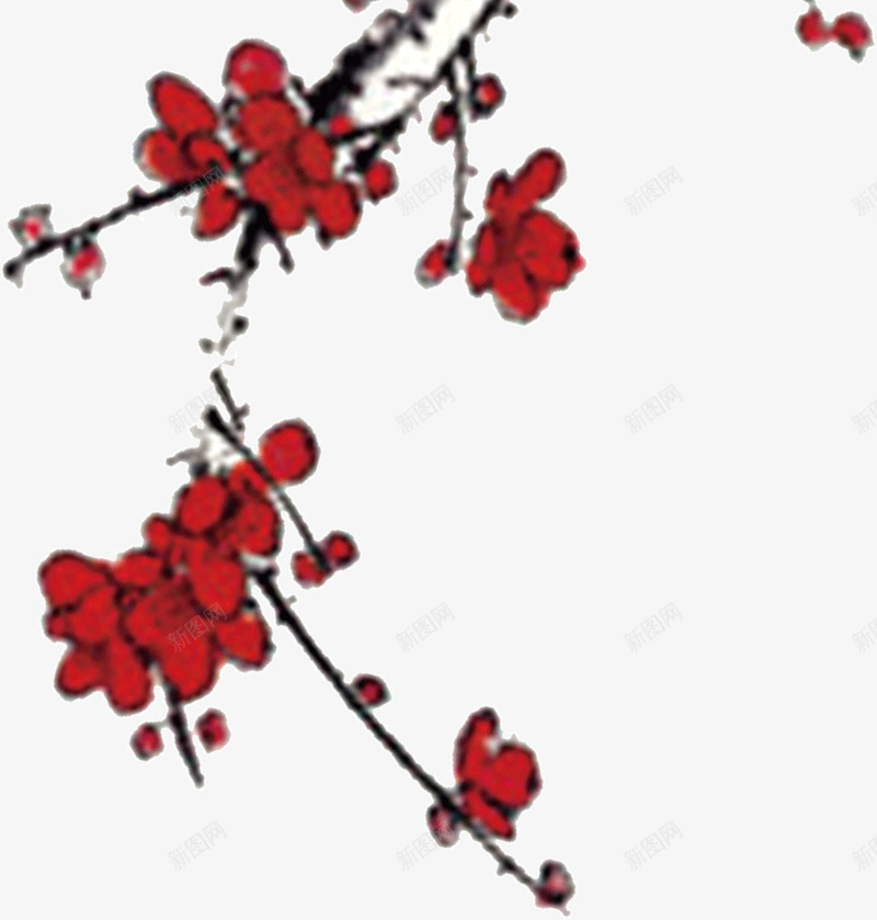水彩画梅花png免抠素材_新图网 https://ixintu.com 梅花 水彩画
