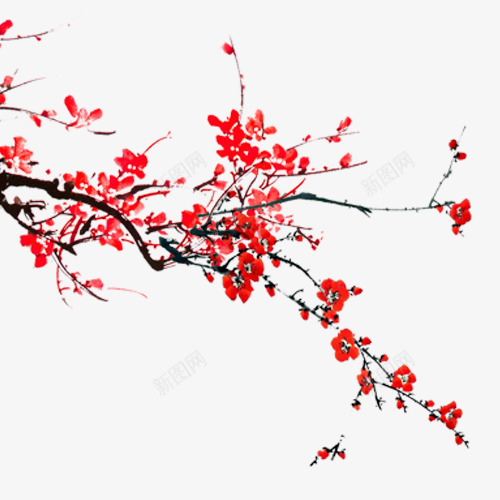 中国风红色梅花黑色枝头png免抠素材_新图网 https://ixintu.com 中国风 免扣元素 红色梅花 鲜艳 黑色枝头