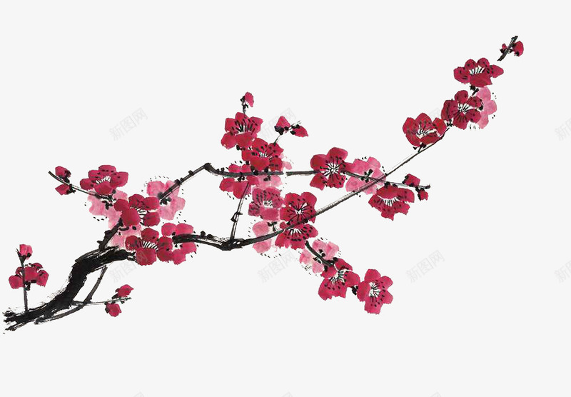 前言边框png免抠素材_新图网 https://ixintu.com 前言 梅花 装饰 边框