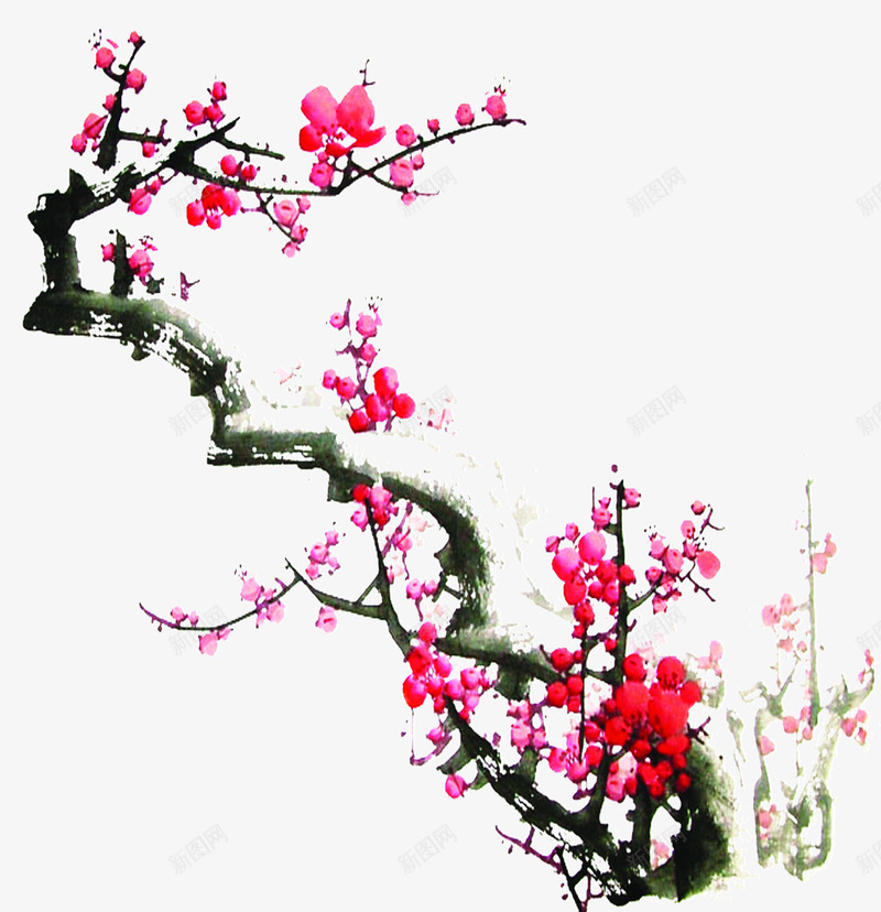 手绘粉色梅花树枝装饰png免抠素材_新图网 https://ixintu.com 树枝 梅花 粉色 装饰