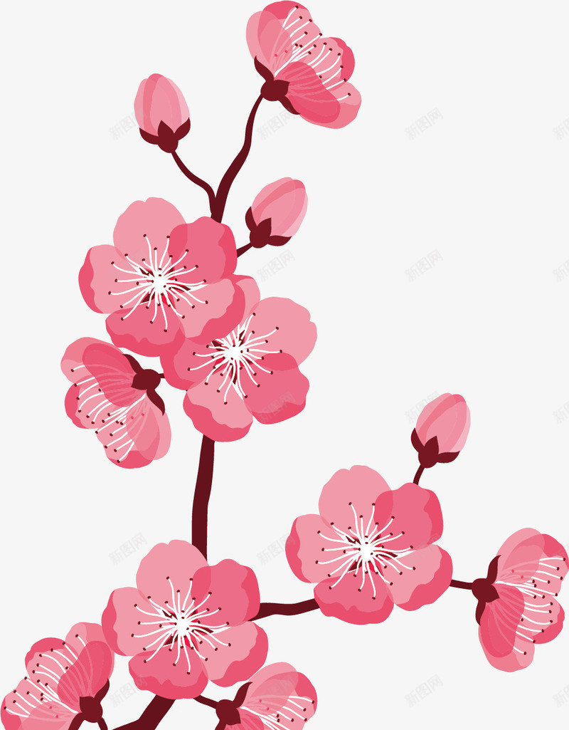 粉色梅花矢量图ai免抠素材_新图网 https://ixintu.com 梅花 矢量雪梅花 雪梅花素材 矢量图