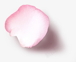粉红色花瓣摄影png免抠素材_新图网 https://ixintu.com 摄影 粉红色 花瓣