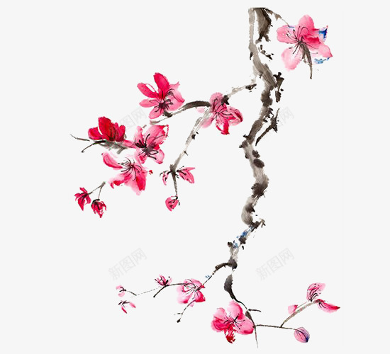粉红色复古梅花装饰png免抠素材_新图网 https://ixintu.com 复古 梅花 粉红色 装饰