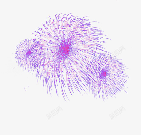 紫色放射性烟花png免抠素材_新图网 https://ixintu.com 放射性 烟花 紫色