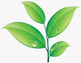 小清新手绘绿色水珠树叶png免抠素材_新图网 https://ixintu.com 树叶 水珠 清新 绿色