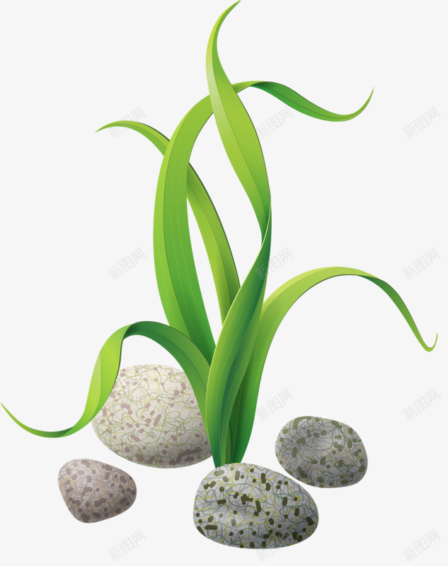 手绘水草石头png免抠素材_新图网 https://ixintu.com 手绘 水草 石头