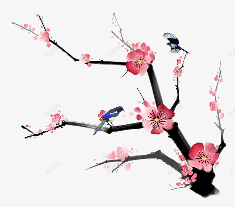 手绘梅花喜鹊水墨画png免抠素材_新图网 https://ixintu.com 手绘梅花喜鹊 手绘梅花喜鹊水墨画 梅花喜鹊水墨画 梅花水墨画