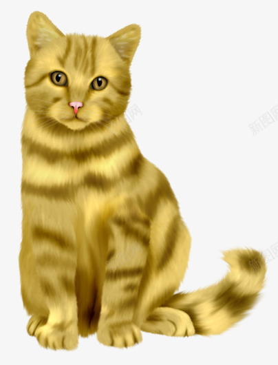 彩绘金黄色波斯猫正面png免抠素材_新图网 https://ixintu.com 卡通彩绘 可爱条纹猫 波斯猫 黄色波斯猫 黄色猫咪