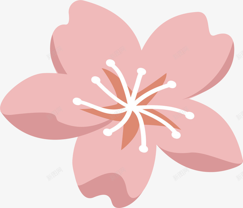 粉红色的花朵矢量图ai免抠素材_新图网 https://ixintu.com 卡通 白色柱体 粉红色 花朵 花瓣 花蕾 矢量图