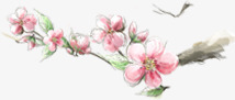 粉色模糊手绘梅花png免抠素材_新图网 https://ixintu.com 梅花 模糊 粉色