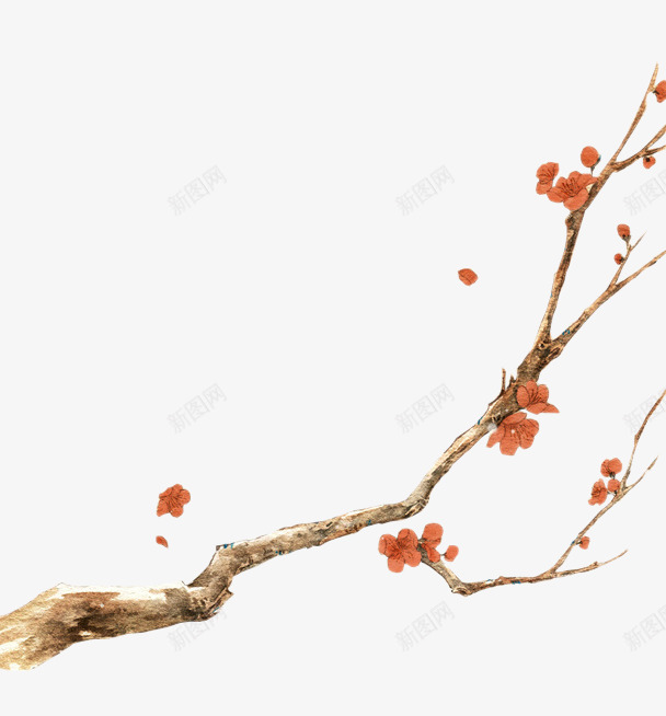 梅花样式主页装修png免抠素材_新图网 https://ixintu.com 主页 样式 梅花 装修