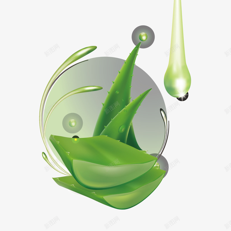芦荟叶和水滴矢量图ai免抠素材_新图网 https://ixintu.com 水滴 芦荟 芦荟叶 矢量图