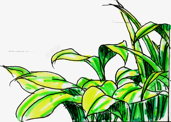 绘画小草首页png免抠素材_新图网 https://ixintu.com 绘画 设计
