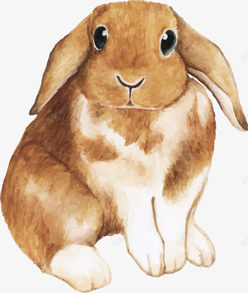 手绘风可爱的兔子矢量图ai免抠素材_新图网 https://ixintu.com 兔子 可爱兔子 手绘兔子 手绘风 水彩兔子 矢量png 矢量图