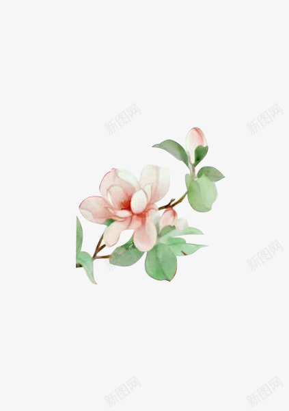 手绘白花粉红色叶子png免抠素材_新图网 https://ixintu.com 叶子 手绘 白花 粉红色
