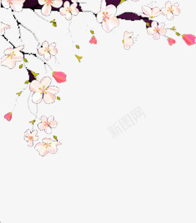 彩绘梅花七夕png免抠素材_新图网 https://ixintu.com 七夕 彩绘 梅花