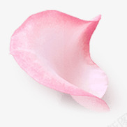 粉红色花朵单朵花瓣png免抠素材_新图网 https://ixintu.com 粉红色 花朵 花瓣