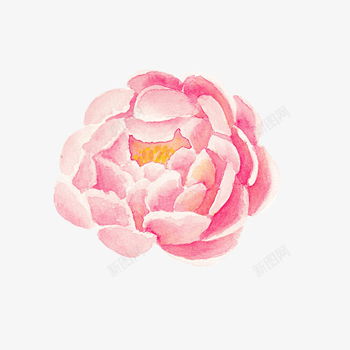 粉红色莲花png免抠素材_新图网 https://ixintu.com 一朵 卡通 手绘 简图 粉红色 花蕊 莲花 黄色