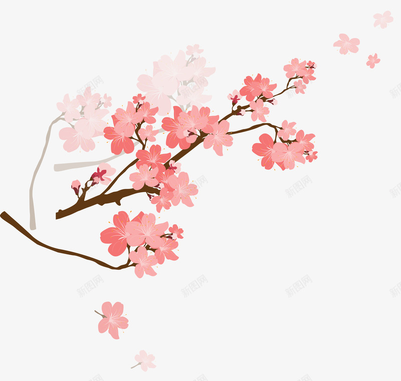 粉红色悬挂枝头的一枝梅png免抠素材_新图网 https://ixintu.com 悬挂 枝头 粉红色