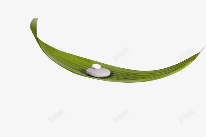 绿色植物水珠png免抠素材_新图网 https://ixintu.com 植物 水珠 绿色