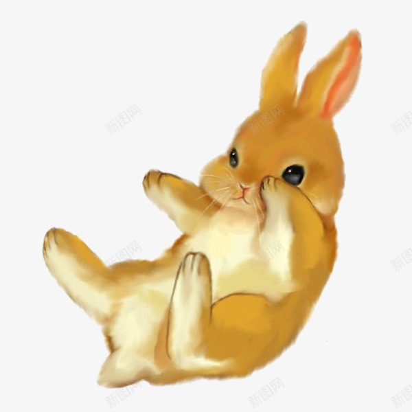 可爱呆萌兔手绘png免抠素材_新图网 https://ixintu.com 兔子 动物 可爱 图像 图形素材 图片 素材免抠 胡萝卜 装饰 野生动物