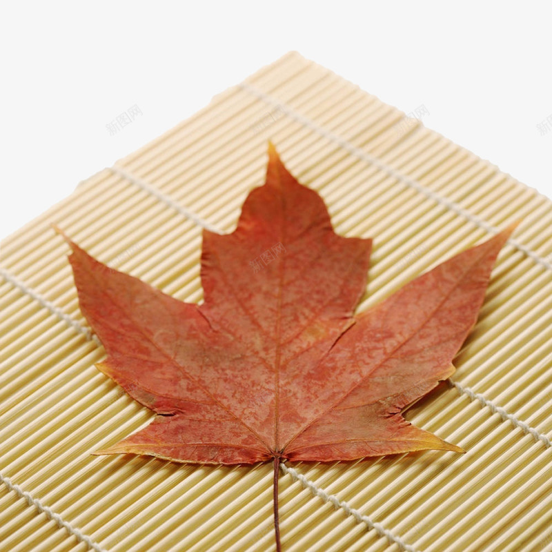典雅素洁装饰古代竹签图png免抠素材_新图网 https://ixintu.com 古代竹签 枫叶 竹卷背景设计 竹签 竹签背景图 背景