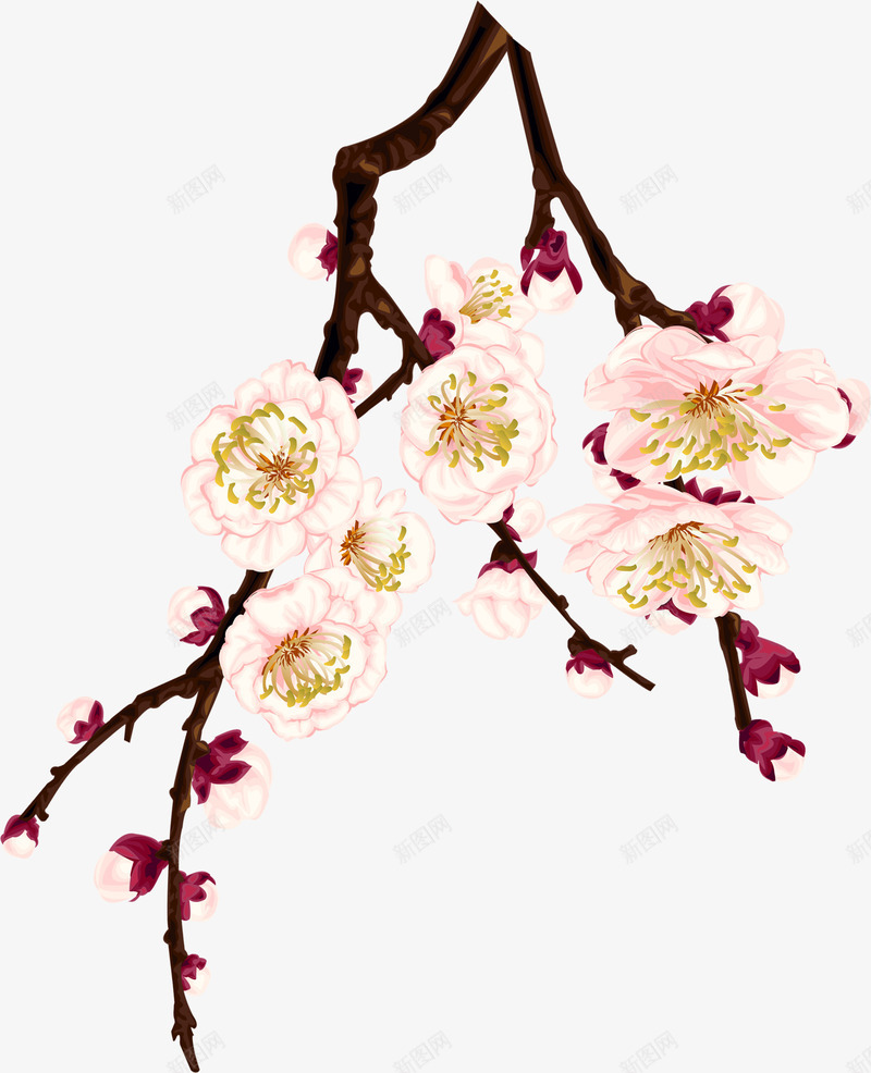 梅花主题牛年png免抠素材_新图网 https://ixintu.com 主题 梅花 牛年 素材