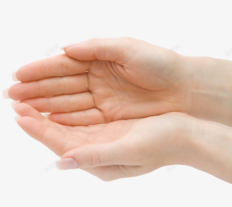 托举的手png免抠素材_新图网 https://ixintu.com 人手 左右手 手势 手掌托举 托举的手