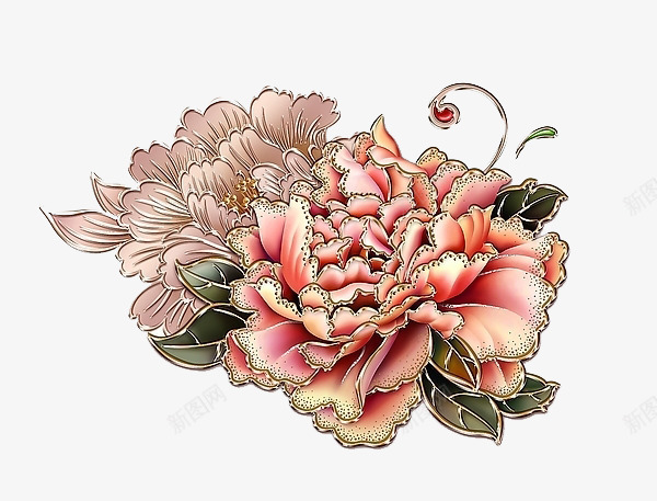 菊花png免抠素材_新图网 https://ixintu.com 手绘 插画素材 粉红色 美丽的菊花 菊花