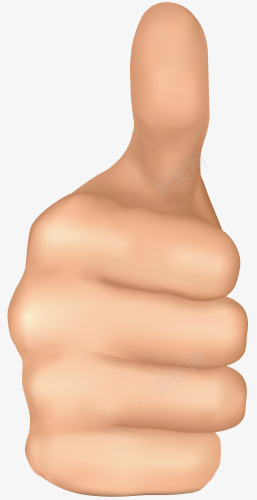 竖起大拇指手势png免抠素材_新图网 https://ixintu.com 大拇指 手势 拇指 正面 竖着