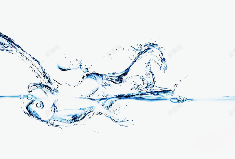 水中鱼马水滴png免抠素材_新图网 https://ixintu.com 水中 水中鱼马水滴 水中鱼马水滴PNG 水滴 马 鱼