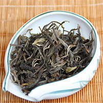 茶茶叶茶园绿色首页模板png免抠素材_新图网 https://ixintu.com 绿色 茶 茶叶 茶园 首页模板