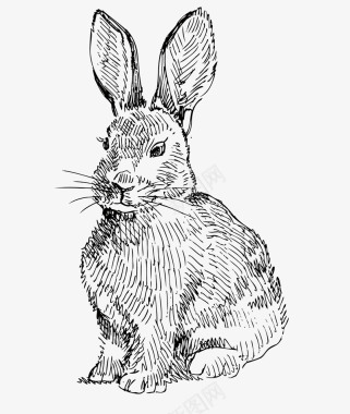 大胖LOGO可爱兔子手绘素描矢矢量图图标图标