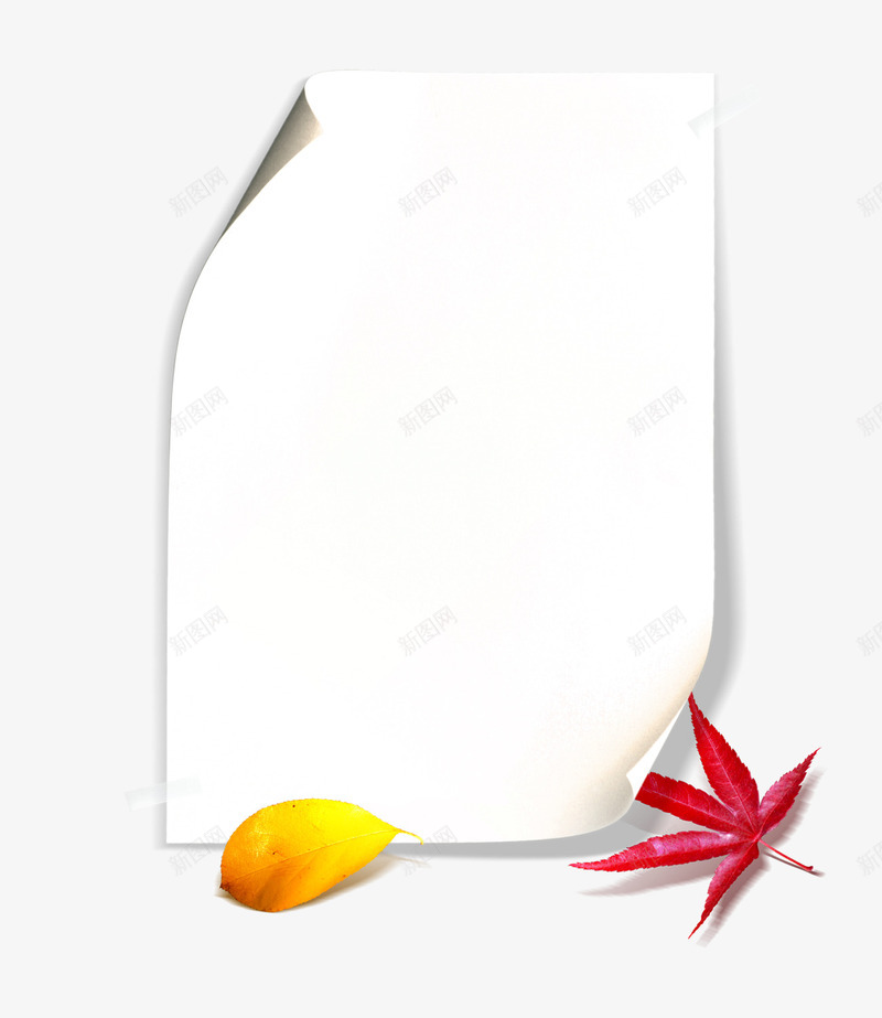 枫叶红色纸张psd免抠素材_新图网 https://ixintu.com 叶子免扣素材 枫叶 枫叶免扣 枫叶免扣ps素材 秋叶png素材 秋季 秋季元素 红色 红色枫叶ps 红色枫叶ps素材 纸张