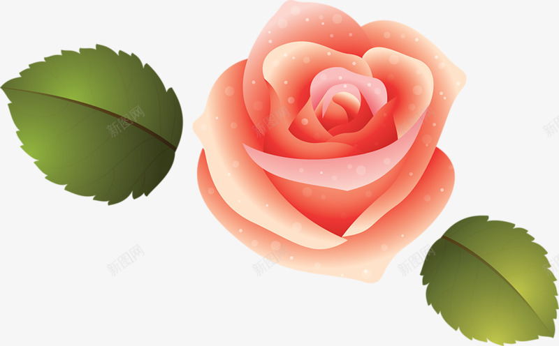 粉红玫瑰花花朵装饰png免抠素材_新图网 https://ixintu.com 图片 玫瑰花 粉红 花朵 装饰