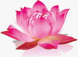 粉色手绘分层花朵png免抠素材_新图网 https://ixintu.com 分层 粉色 花朵