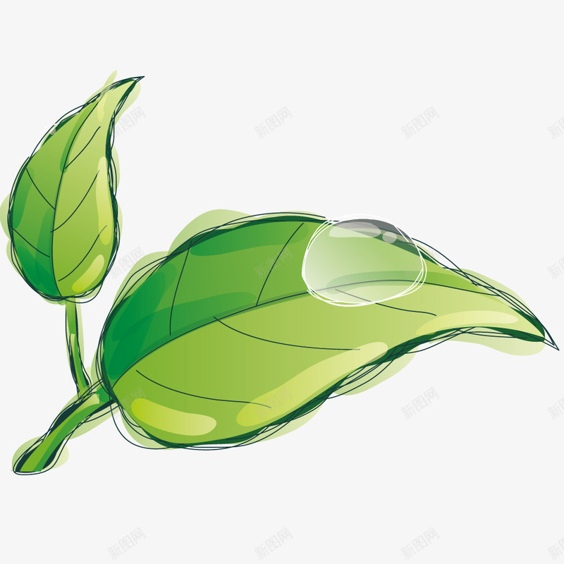 树叶上的水滴矢量图ai免抠素材_新图网 https://ixintu.com 手绘 拟物化 插画 树叶 植物 水滴 矢量图