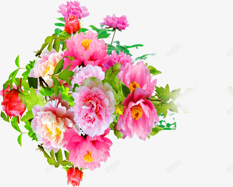 粉红色吊篮花朵png免抠素材_新图网 https://ixintu.com 粉红色 花朵