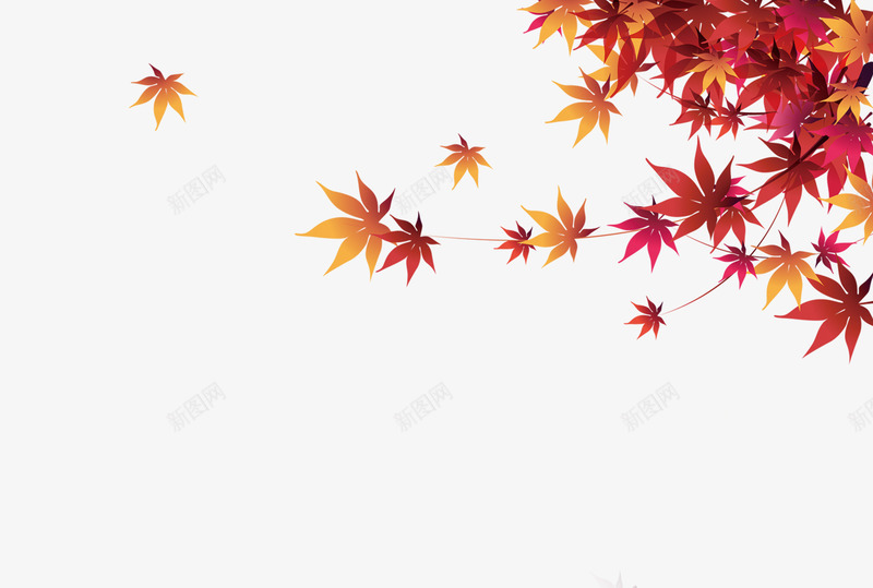 秋季枫叶png免抠素材_新图网 https://ixintu.com 枫叶 秋季 红橙色
