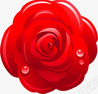 水珠鲜艳玫瑰花png免抠素材_新图网 https://ixintu.com 水珠 玫瑰花 鲜艳