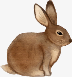 可爱手绘水彩小灰兔矢量图素材