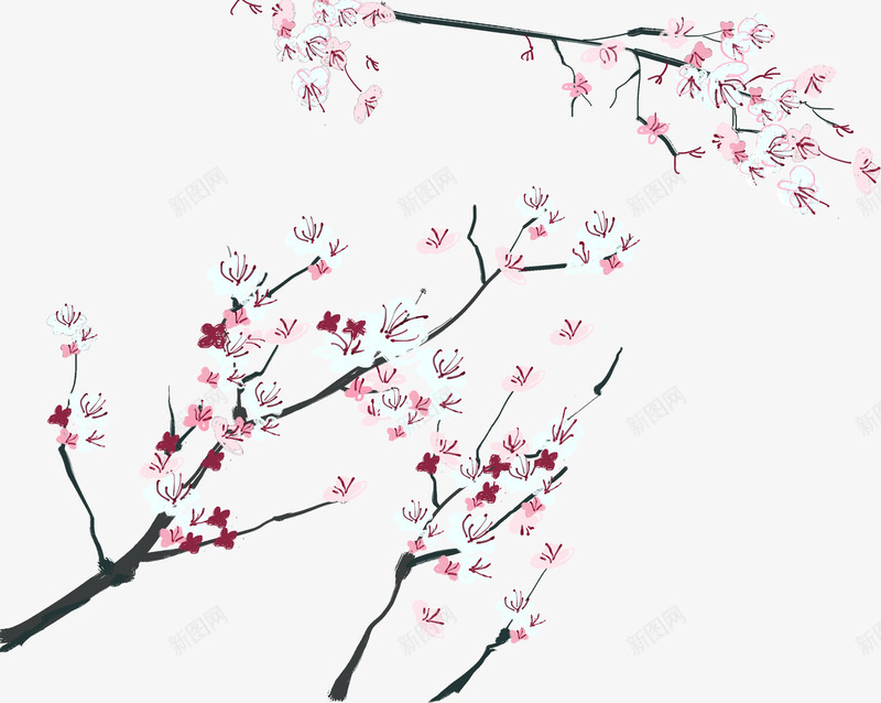 手绘冬梅png免抠素材_新图网 https://ixintu.com 手绘冬梅 梅花