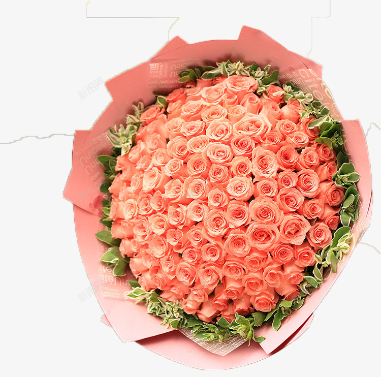 粉红玫瑰花束png免抠素材_新图网 https://ixintu.com 粉红玫瑰 花 花束