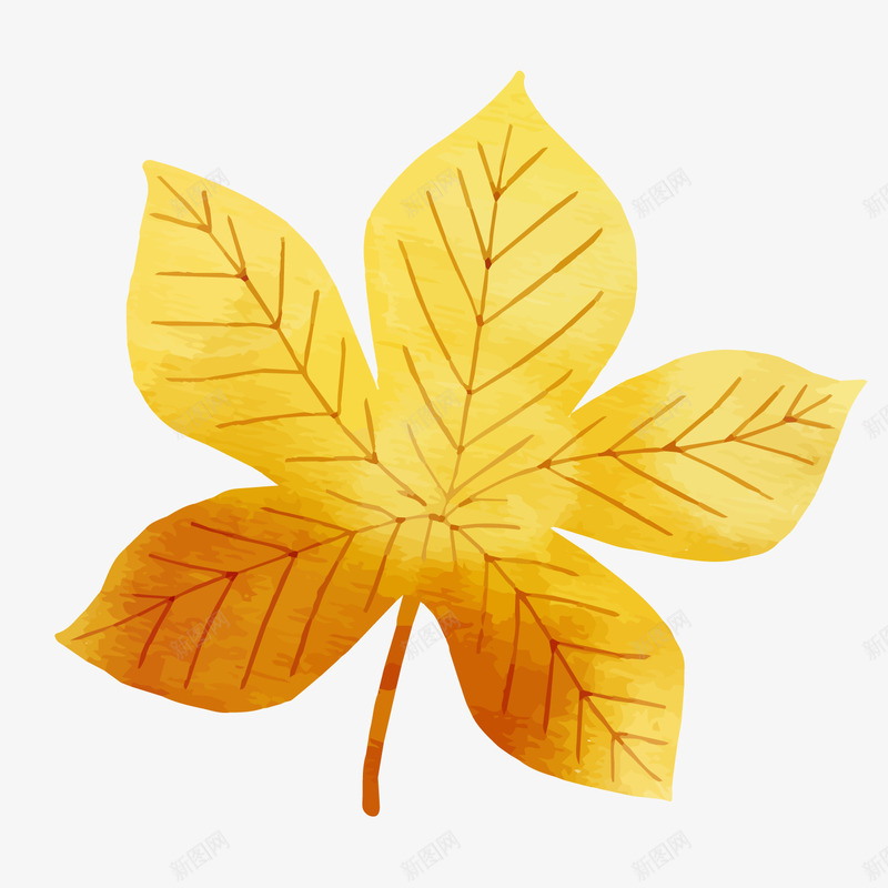 一片手绘的金黄色的叶子矢量图ai免抠素材_新图网 https://ixintu.com 一片 一片枫叶 一片黄叶 叶子 手绘 枫叶 秋天 红枫 红色 黄叶 黄枫叶 矢量图