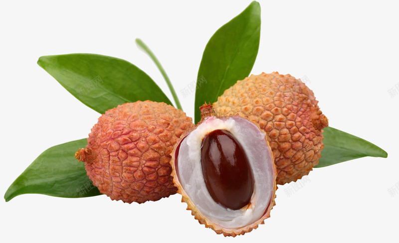 好吃的荔枝png免抠素材_新图网 https://ixintu.com 丰收的荔枝 干荔枝 新鲜荔枝 水果 清爽荔枝 熟荔枝 红荔枝荔枝干 绿色 荔枝 荔枝促销 荔枝园 荔枝宣传栏 荔枝树 荔枝水果 荔枝湾 荔枝特价 荔枝肉 荔枝采摘 荔枝采摘园 采摘荔枝 食物 鲜荔枝