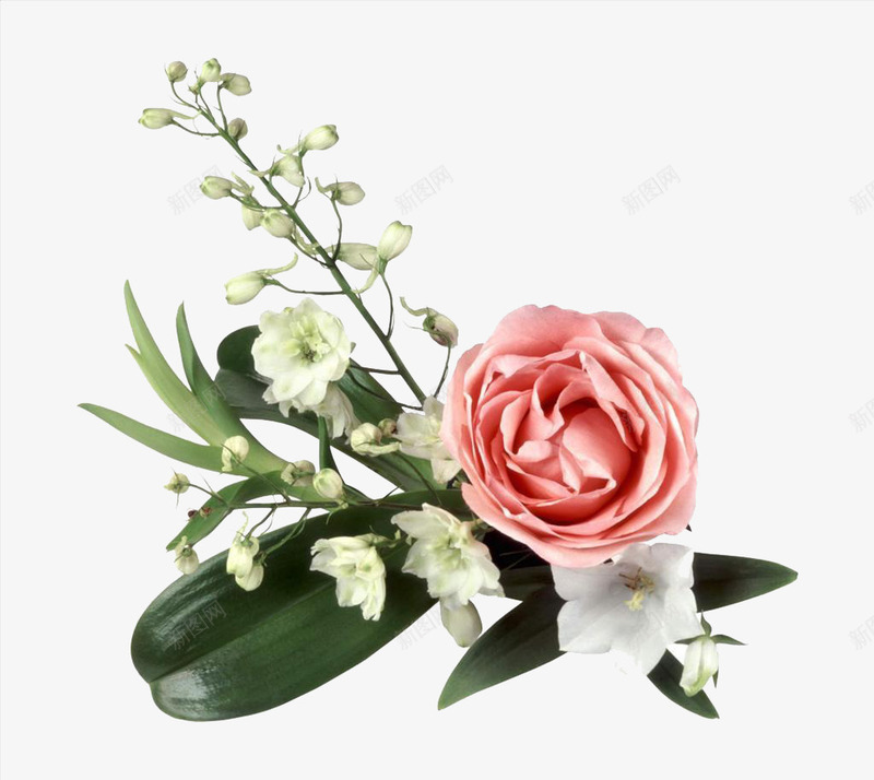一枝小小花朵png免抠素材_新图网 https://ixintu.com 一枝 粉红 绿叶 花
