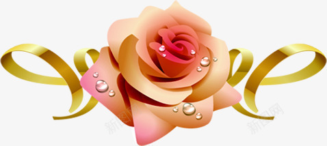 手绘花朵水珠卡片png免抠素材_新图网 https://ixintu.com 卡片 水珠 花朵