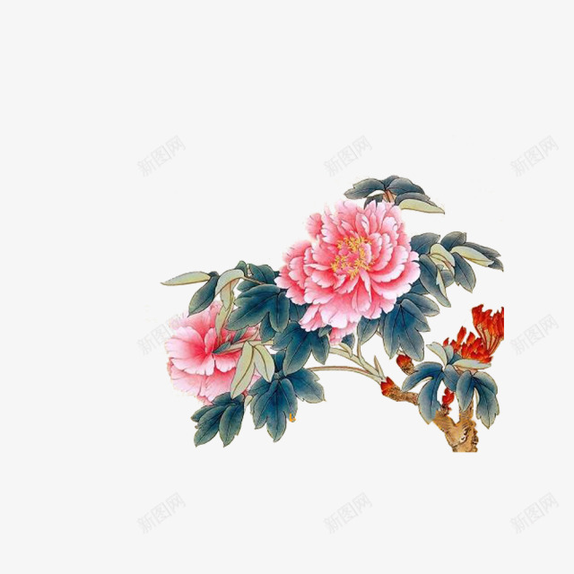 粉红彩绘康乃馨png免抠素材_新图网 https://ixintu.com 康乃馨 彩绘 粉红