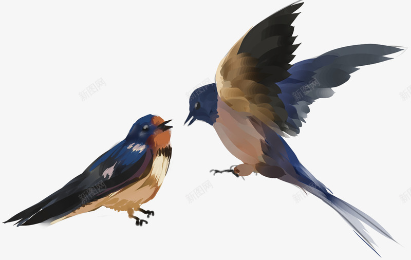 手绘装饰小鸟插画元素psd免抠素材_新图网 https://ixintu.com 动物 小鸟 手绘小鸟 手绘插画 装饰图案 鸟类