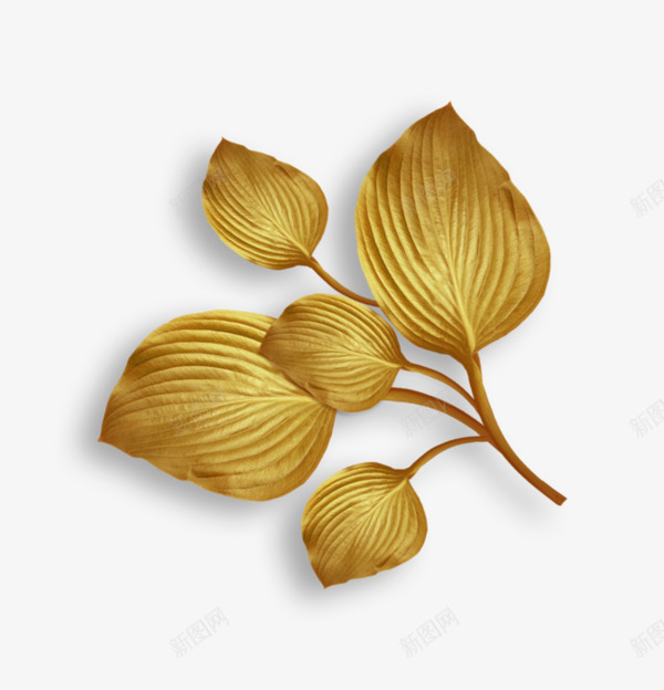 枯黄的树叶png免抠素材_新图网 https://ixintu.com 枯黄 树叶 秋天 黄色